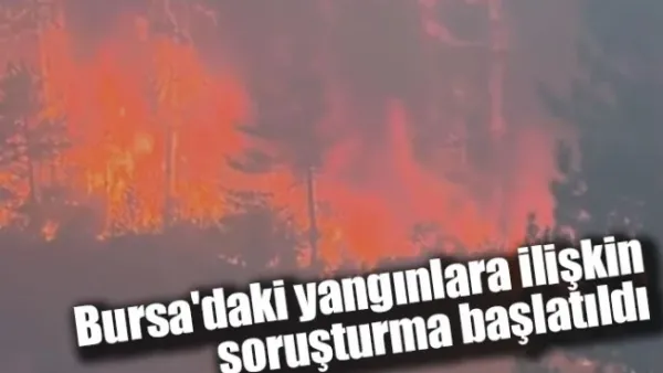 Bursa'daki yangınlara ilişkin soruşturma başlatıldı