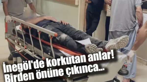 İnegöl'de korkutan anlar! Birden önüne çıkınca...