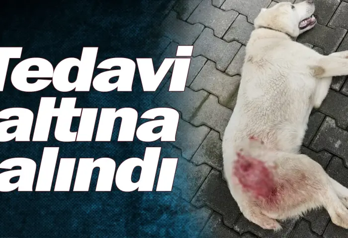 Tedavi altına alındı