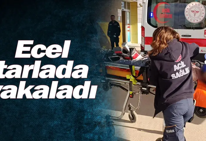 Ecel tarlada yakaladı