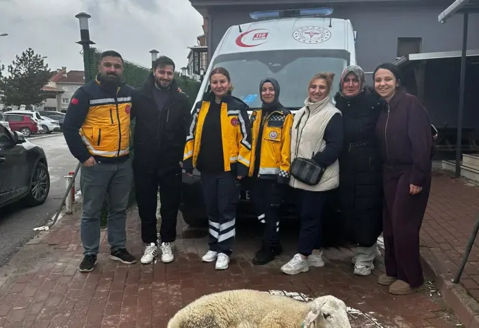 Ambulans için kurban kestiler