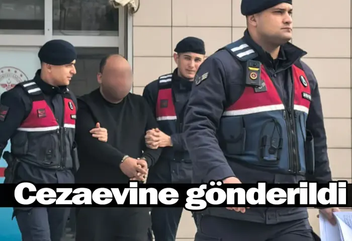 Cezaevine gönderildi