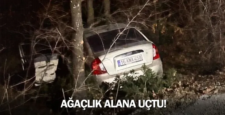 Agaçlık alana uçtu!