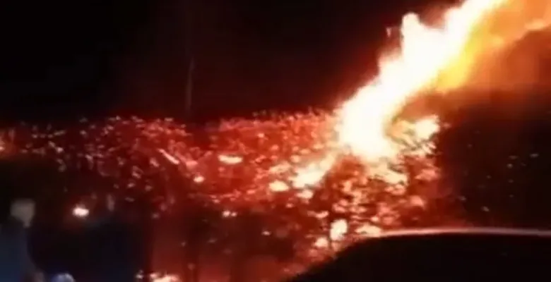 İnegöl'de alevler yükseldi