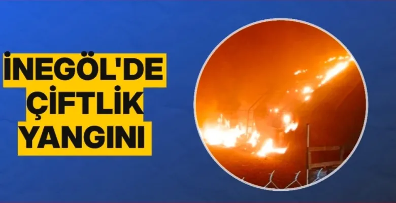 İnegöl'de çiftlik yangını