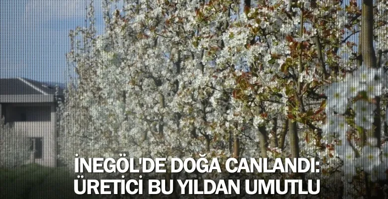İnegöl'de doğa canlandı: Üretici bu yıldan umutlu
