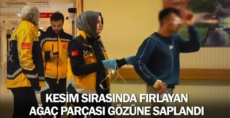 Kesim sırasında fırlayan ağaç parçası gözüne saplandı