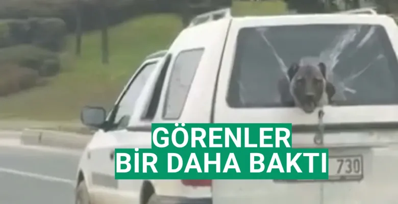 Görenler bir daha baktı