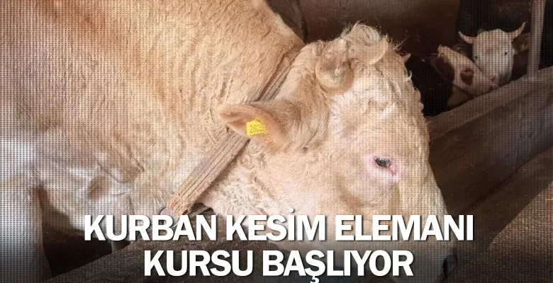 İnegöl’de Kurban Kesim Elemanı Kursu Başlıyor