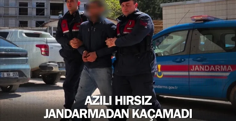 Azılı hırsız jandarmadan kaçamadı