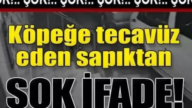 Köpeğe tecavüz eden sapıktan şoke eden açıklama
