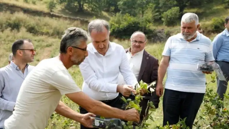 İnegöl'de tarımsal değer 4 milyara ulaştı