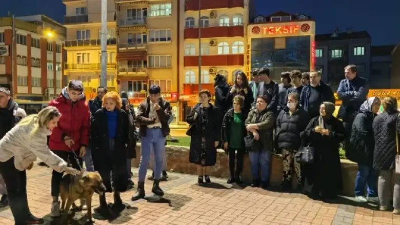 Hayvanseverlerden köpek katliamına tepki