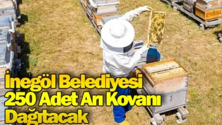 İnegöl Belediyesi 250 Adet Arı Kovanı Dağıtacak