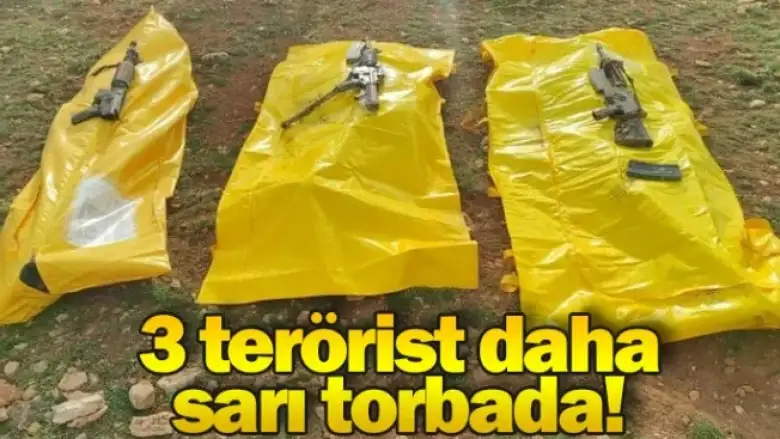 Bakan Soylu duyurdu: 3 terörist daha sarı torbada