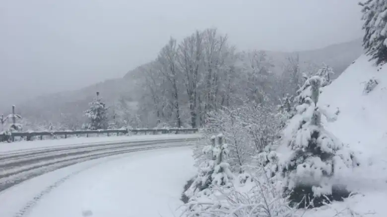 İnegöl kırsalı beyaza örtüyle kaplandı