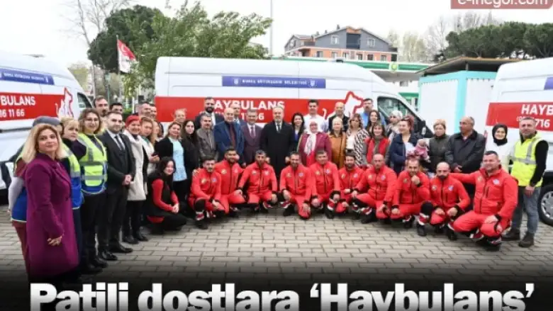 Patili dostlara ‘Haybulans’