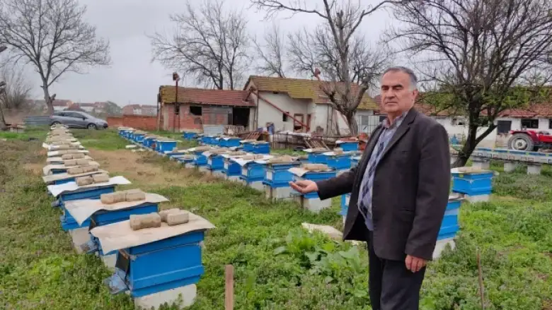 İnegöl'de toplu arı ölümleri