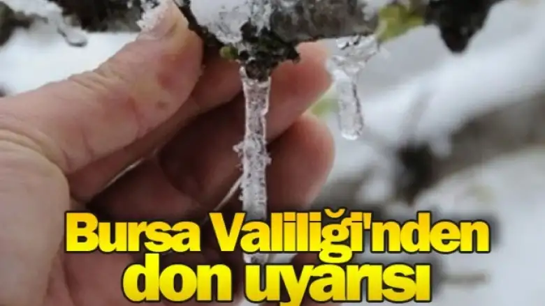 Bursa Valiliği'nden don uyarısı