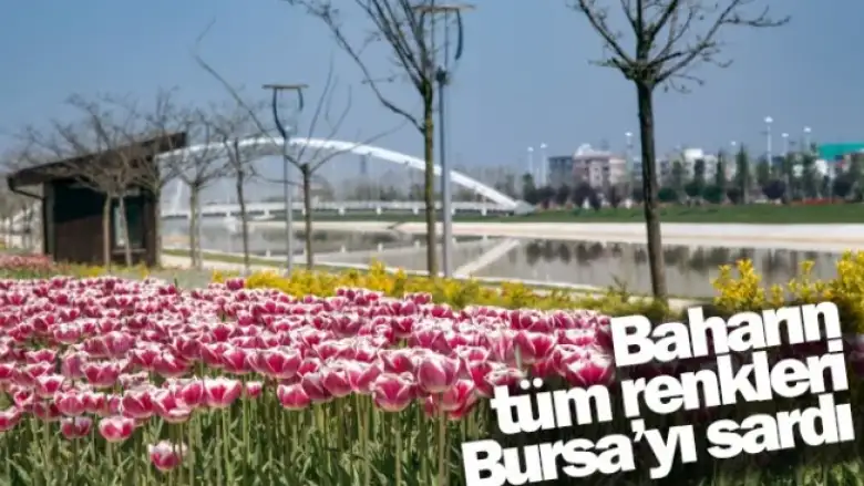Baharın tüm renkleri Bursa’yı sardı