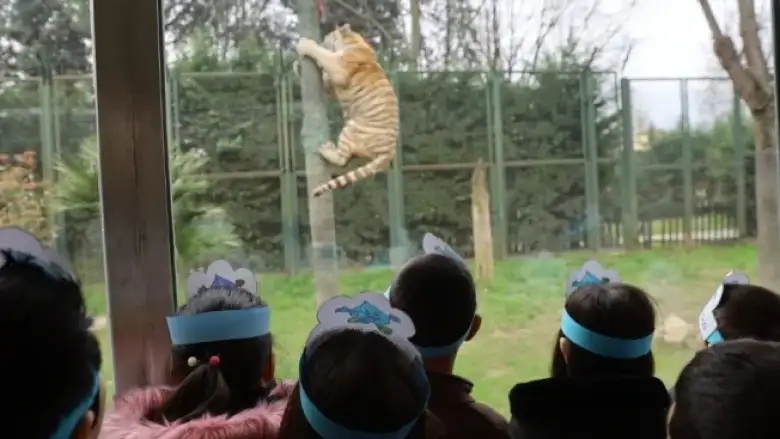 Bursa hayvanat bahçesi 23 Nisan'da ücretsiz