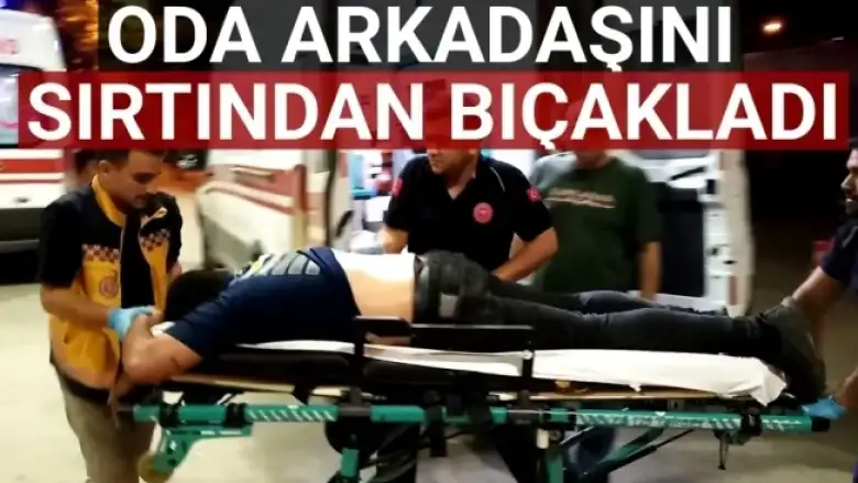 Oda arkadaşını sırtından bıçakladı