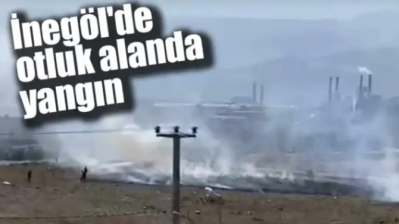 İnegöl'de otluk alanda yangın