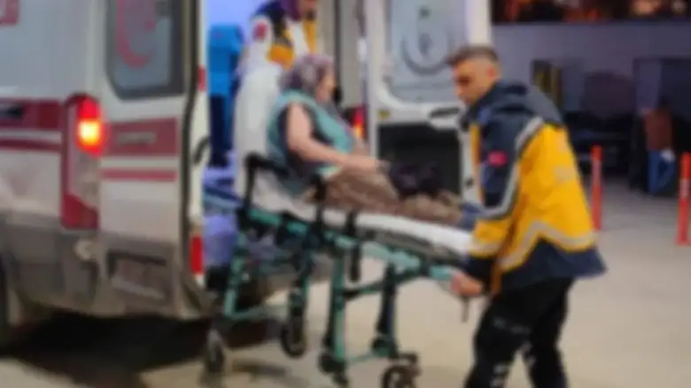 Mesudiye'de korkutan kaza