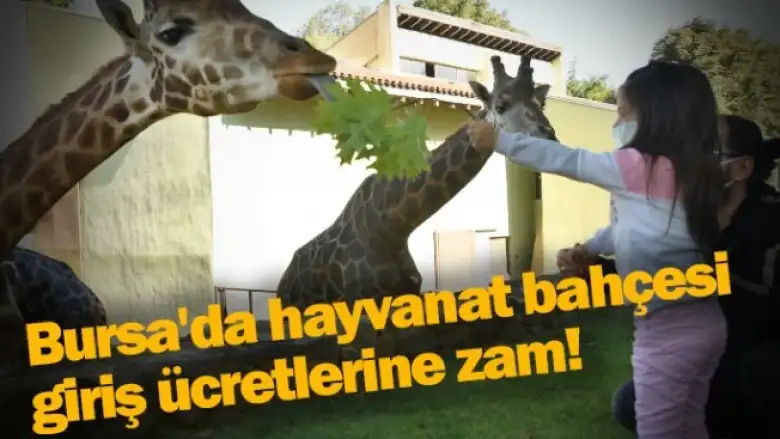 Bursa'da hayvanat bahçesi giriş ücretlerine zam!