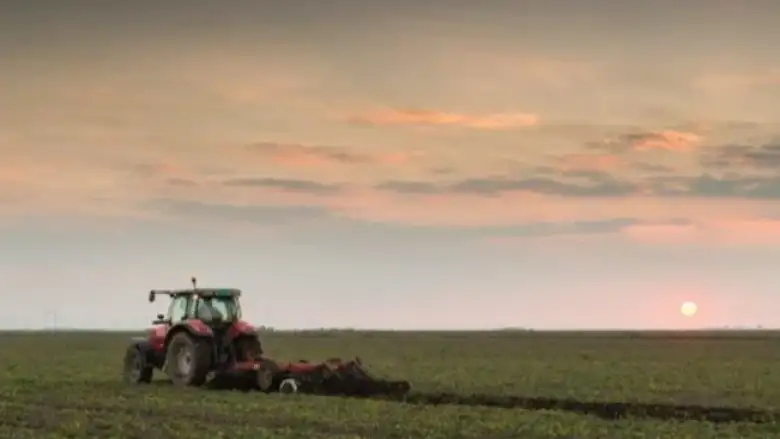 Deprem bölgesine fide ve tohum desteği