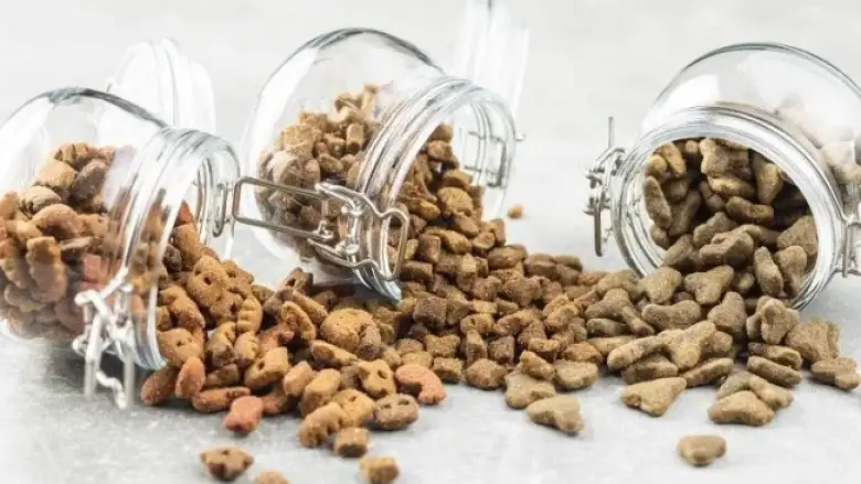 Kedi köpek maması ihracatı 27 katına çıktı