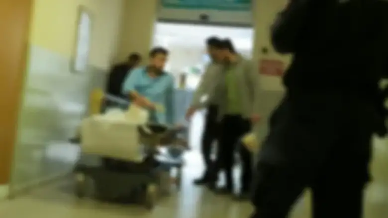 Bahçesindeki ağacı kesmek isterken ..