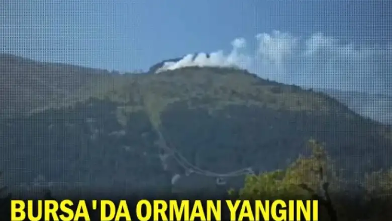Bursa'da orman yangını