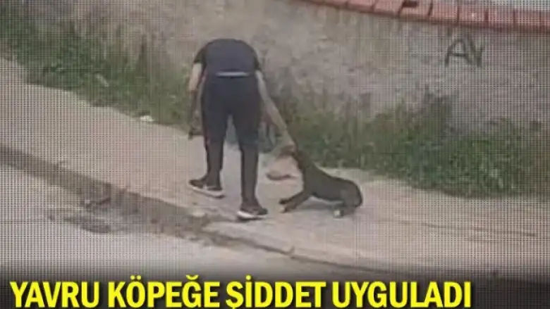 Yavru köpeğe şiddet uyguladı