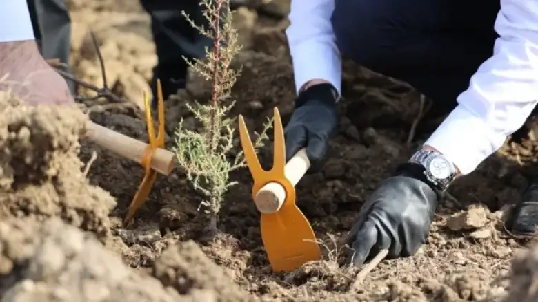 Yeşil Dönüşüm 11 Futbol Sahası Büyüklüğüne Ulaştı