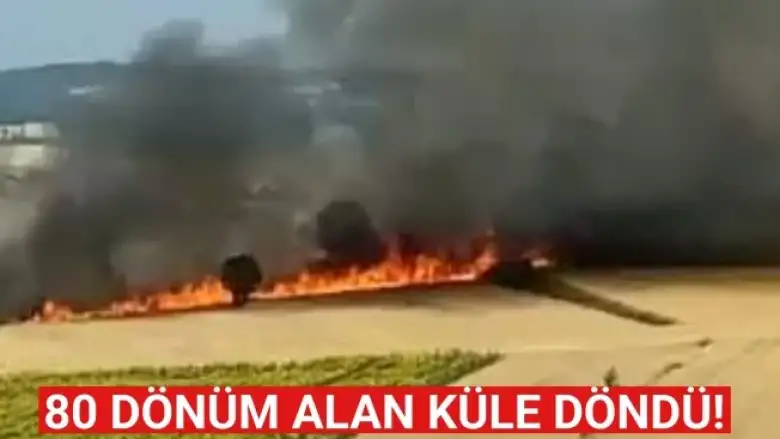 İnegöl'de 80 dönüm alan küle döndü