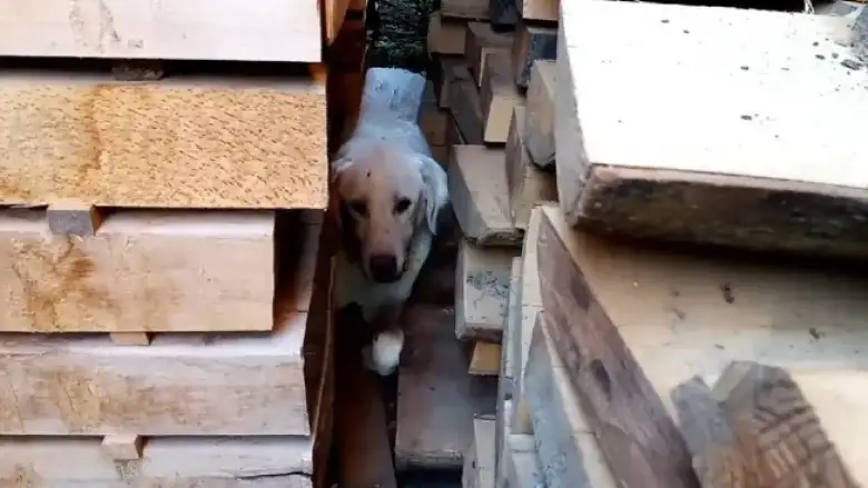 Ekipler seferber oldu!