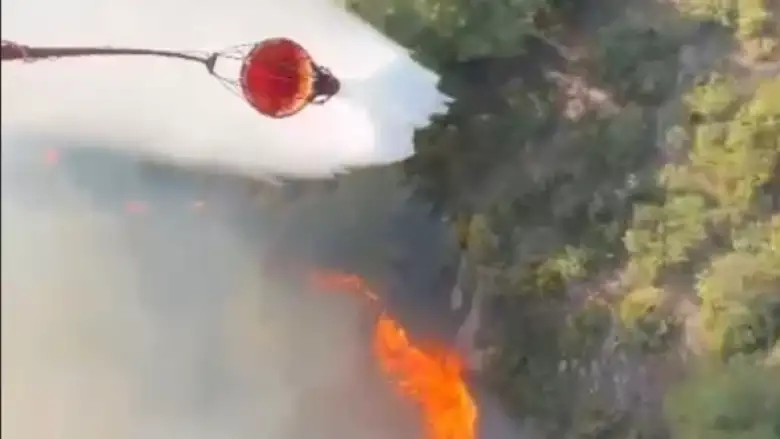 İznik'te orman yangını