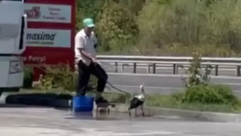 Hortumla su sıkarak serinletti!