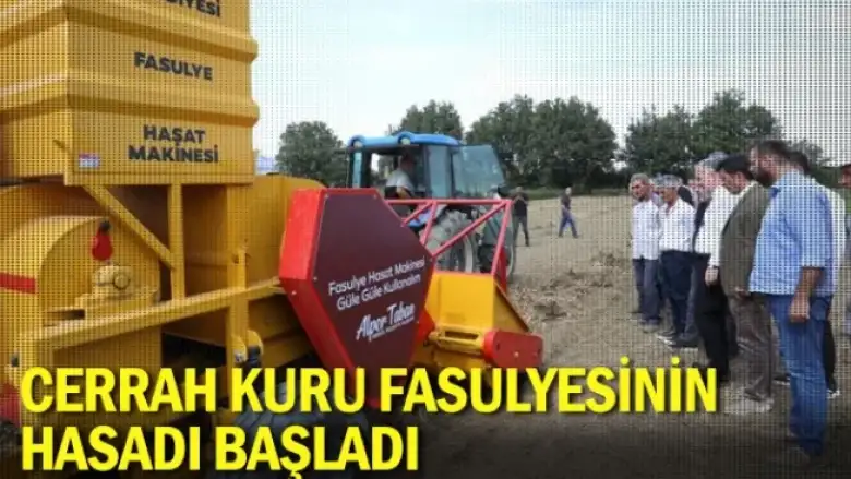 Cerrah Kuru Fasulyesinin hasadı başladı