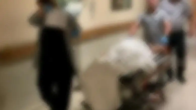 Yediği mantar hastanelik etti