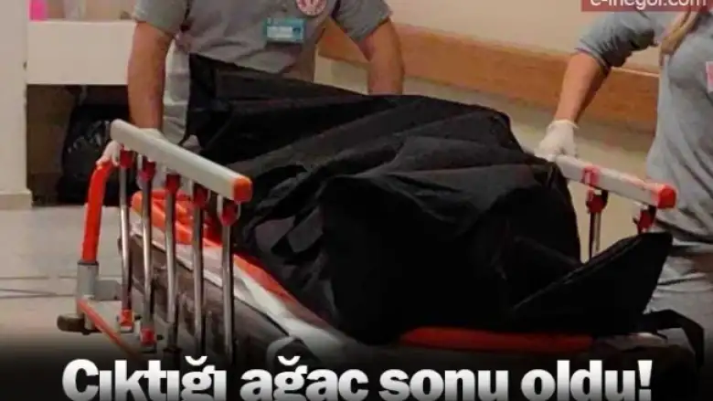 Çıktığı ağaç sonu oldu!