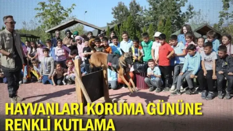 Hayvanları Koruma Gününe renkli kutlama