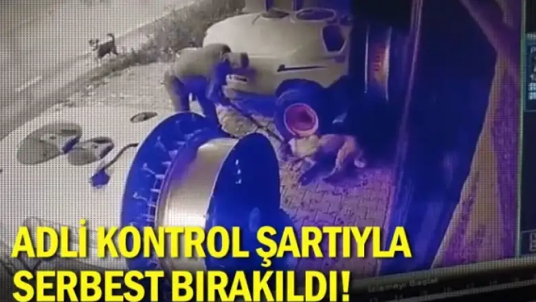 Adli kontrol şartıyla serbest bırakıldı