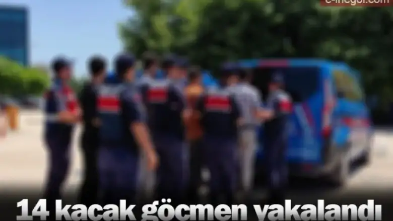 14 kaçak göçmen yakalandı