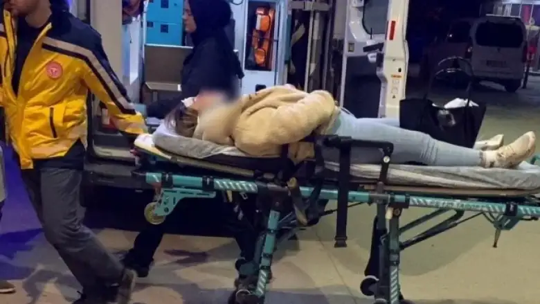 İnegöl'de köpeklerin saldırdığı kadın hastanelik oldu!