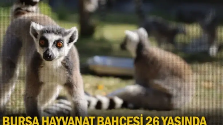 Bursa Hayvanat Bahçesi 26 yaşında