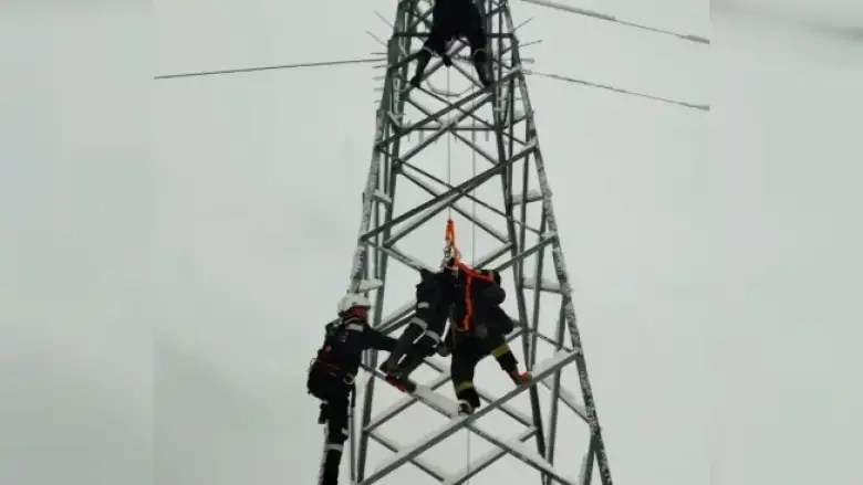 Feci şekilde can verdi!