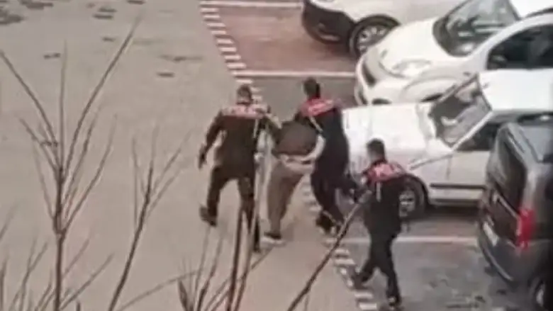 İnegöl'de yunuslar göz açtırmıyor!