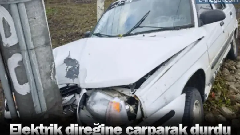 Elektrik direğine çarparak durdu